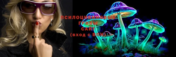 каннабис Гусев