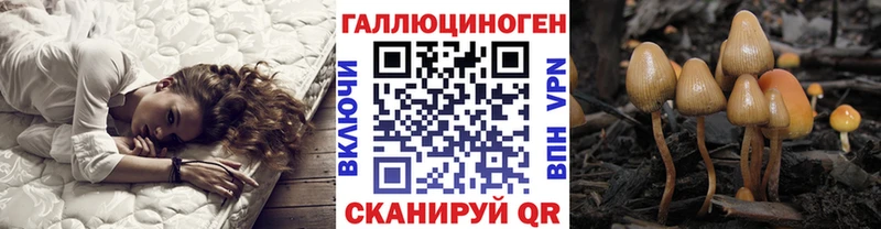 Псилоцибиновые грибы MAGIC MUSHROOMS  Озёры 